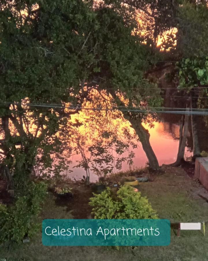 Casa De Praia Búzios Eksteriør billede